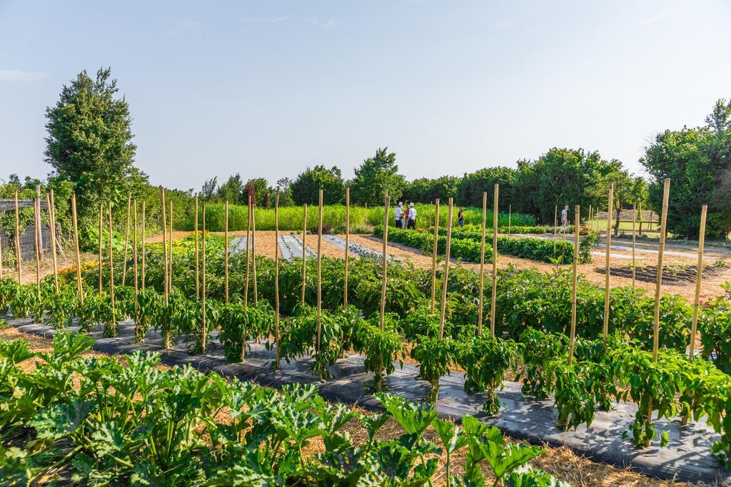 La Posa Degli Agri Legnaro Exterior foto